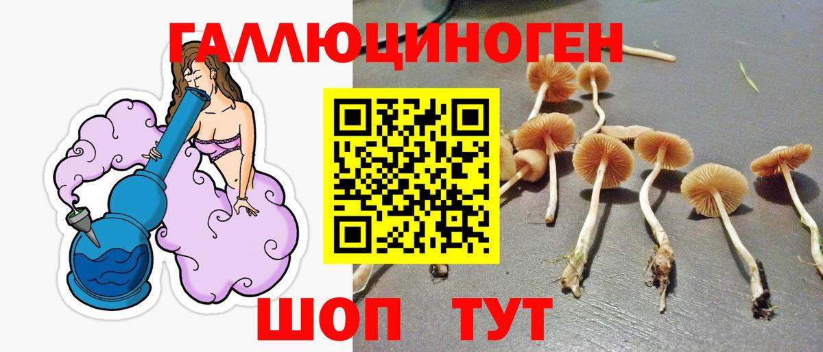 Галлюциногенные грибы прущие грибы  Вход с VPN  Анжеро-Судженск 