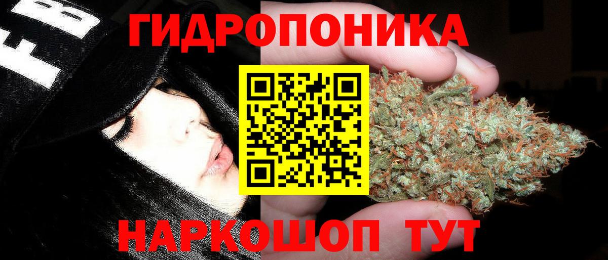 Конопля план Анжеро-Судженск